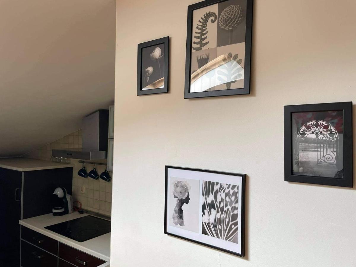 Apartament Studio Nałęczów Exteriör bild